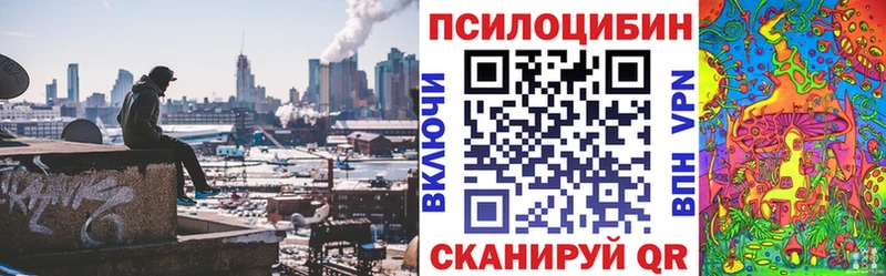 закладка  Исилькуль  Галлюциногенные грибы ЛСД 